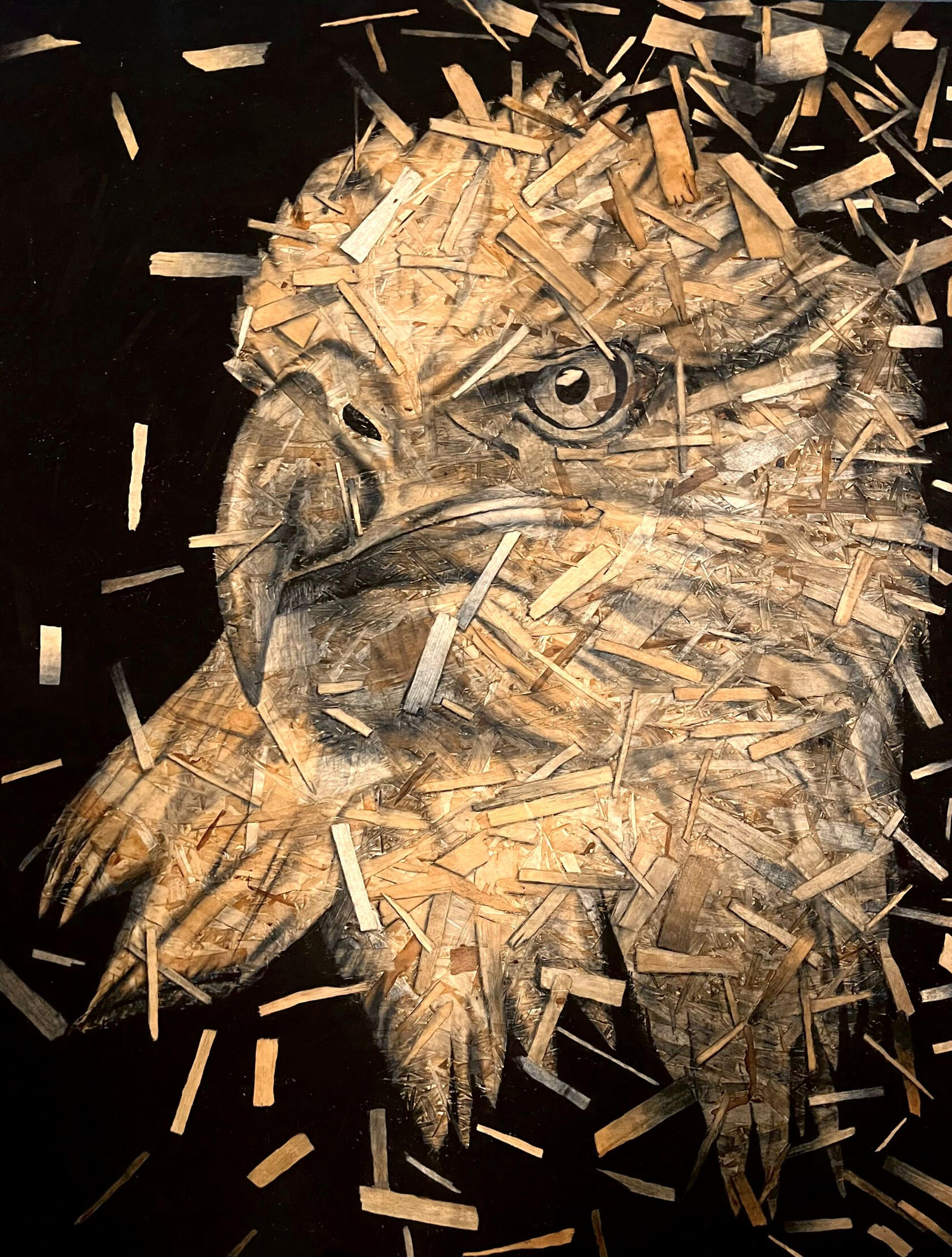 Freedom Fragmented